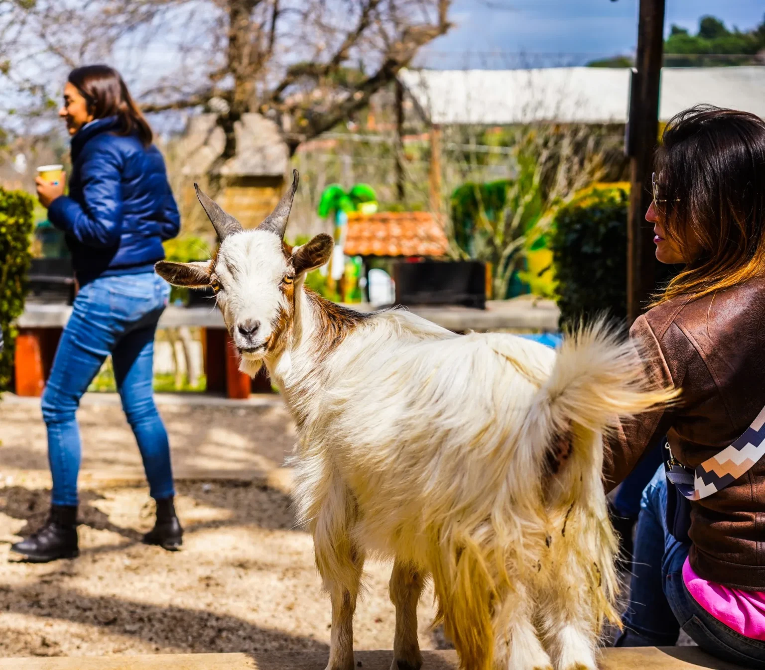 fattoria didattica per bambini